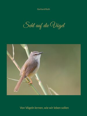 cover image of Seht auf die Vögel